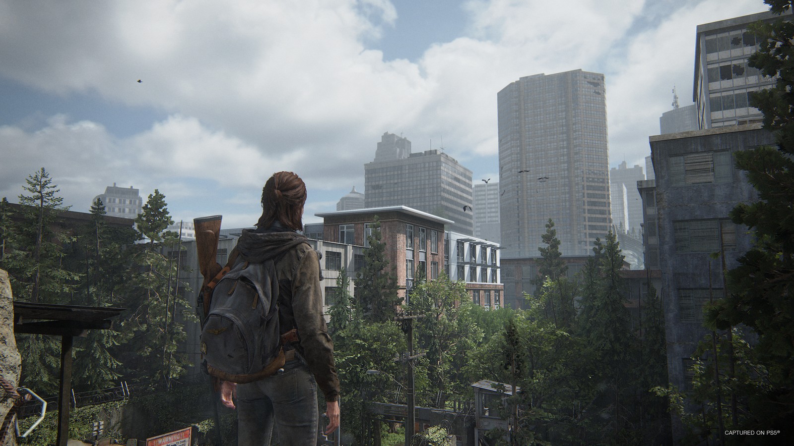 Official The Last of Us Part II Remastered gameplay screenshot